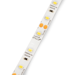 LED szalag LYNX Basic - 12V...