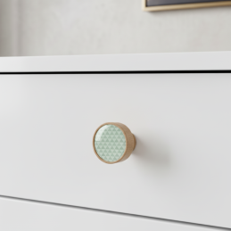 Fafogantyú Gomb ARSIA /...