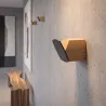 Tölgy