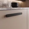 Fekete tölgy