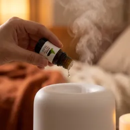 6 db illóolaj szett aroma diffúzorhoz / 10 ml
