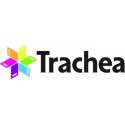 Trachea