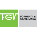 FGV